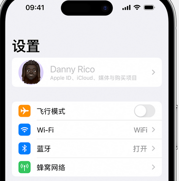 渭滨appleID维修服务iPhone设置中Apple ID显示为灰色无法使用 