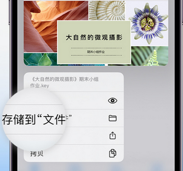 渭滨apple维修中心分享iPhone文件应用中存储和找到下载文件