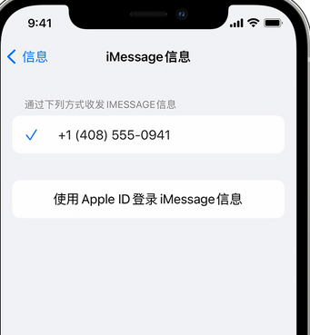 渭滨apple维修iPhone上无法正常发送iMessage信息 