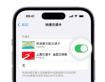 渭滨apple维修点分享iPhone上更换Apple Pay快捷交通卡手绘卡面 