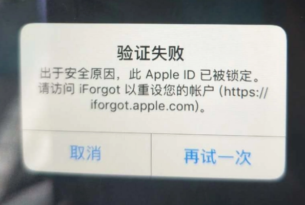 渭滨iPhone维修分享iPhone上正常登录或使用AppleID怎么办 