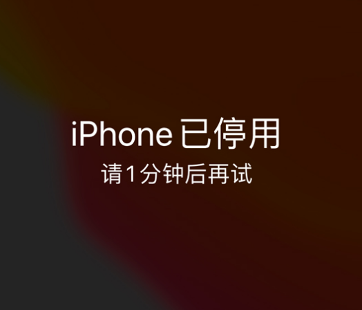 渭滨苹果手机维修分享:iPhone 显示“不可用”或“已停用”怎么办？还能保留数据吗？ 