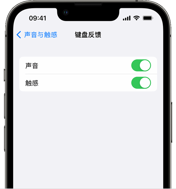 渭滨苹果14维修店分享如何在 iPhone 14 机型中使用触感键盘 