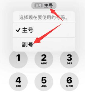 渭滨苹果14维修店分享iPhone 14 Pro Max使用副卡打电话的方法 