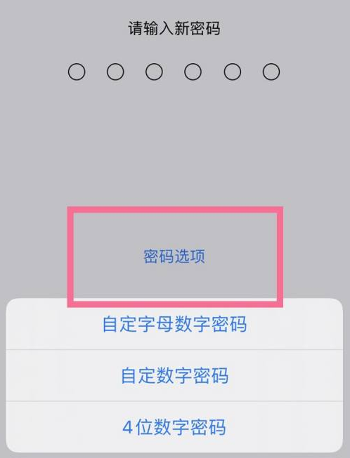 渭滨苹果14维修分享iPhone 14plus设置密码的方法 