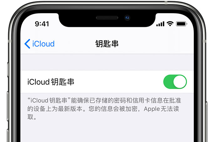 渭滨苹果手机维修分享在 iPhone 上开启 iCloud 钥匙串之后会储存哪些信息 