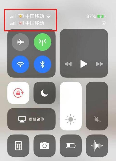渭滨苹果手机维修分享为 iPhone 12 双卡设置标签 
