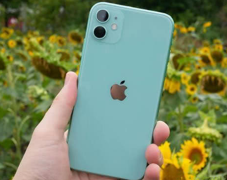 渭滨苹果维修点分享iPhone 11锁屏密码认知与使用科普 