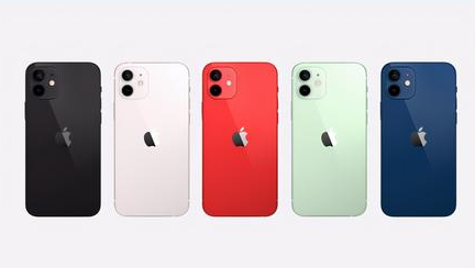 渭滨苹果维修点分享iPhone 12锁屏密码系统机制科普 