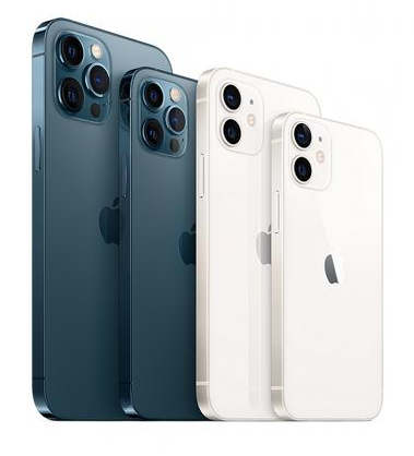 渭滨苹果维修点分享iPhone 12 Pro黑屏小众问题解析 